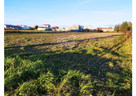 Działka na sprzedaż - Dawidy, Raszyn, Pruszkowski, 4492 m², 3 800 000 PLN, NET-3774/1821/OGS