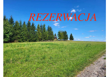 Działka na sprzedaż - Maszków, Iwanowice, Krakowski, 11 200 m², 700 000 PLN, NET-53/5815/OGS