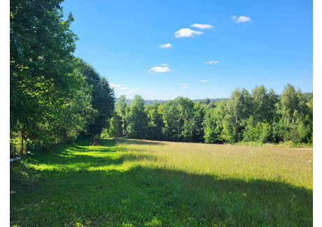 Działka na sprzedaż - Maszków, Iwanowice, Krakowski, 11 200 m², 700 000 PLN, NET-53/5815/OGS