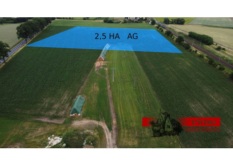 Działka na sprzedaż - Pobiedziska Poznański, 30 000 m², 3 750 000 PLN, NET-44730139