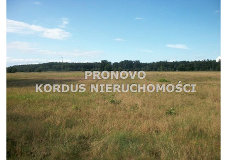Działka na sprzedaż - Smogolice, Stargard, Stargardzki, 1000 m², 100 000 PLN, NET-PKN-GS-186
