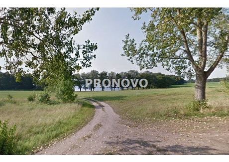 Działka na sprzedaż - Zarańsko, Drawsko Pomorskie, Drawski, 9900 m², 620 000 PLN, NET-PKN-GS-932