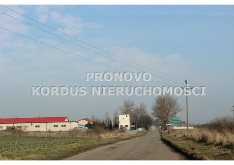 Działka na sprzedaż - Kamieniec, Kołbaskowo, Policki, 3427 m², 600 000 PLN, NET-PKN-GS-92