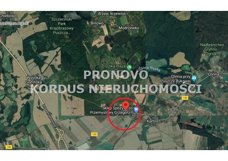 Dom na sprzedaż - Żelisławiec, Stare Czarnowo, Gryfiński, 440 m², 413 000 PLN, NET-PKN-DS-727