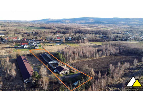 Działka na sprzedaż - Mroczkowice Mirsk, Lwówecki, 7300 m², 693 500 PLN, NET-55560691