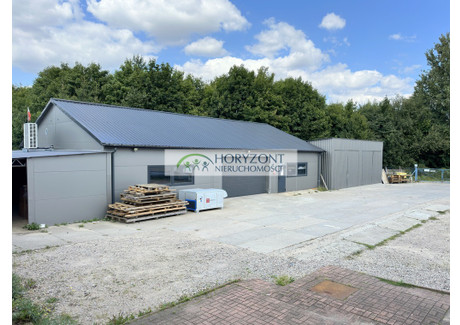 Magazyn, hala do wynajęcia - Żukowo, Kartuski, 1397 m², 38 160 PLN, NET-61/260/OOW