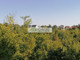 Działka na sprzedaż - Sulęczyno, Kartuski, 6260 m², 250 000 PLN, NET-5153/260/OGS