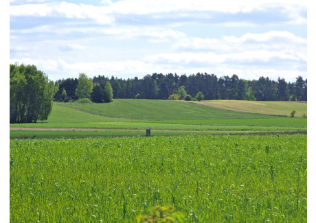 Działka na sprzedaż - Jasionka, Zgierz, Zgierski, 3000 m², 175 000 PLN, NET-ETR-GS-1099-47