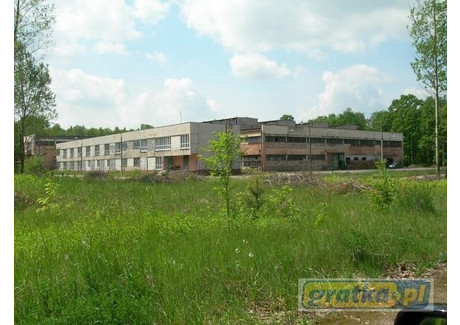 Komercyjne na sprzedaż - Przemysłowa Lublin, 5500 m², 3 300 000 PLN, NET-3141653