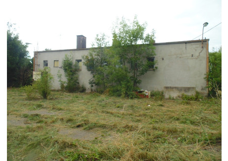 Dom na sprzedaż - Kurkocin, Dębowa Łąka, Wąbrzeski, 119 m², 159 000 PLN, NET-73/15902/ODS