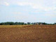 Rolny na sprzedaż - Lisewo, Chełmiński, 24 000 m², 288 000 PLN, NET-130/15902/OGS