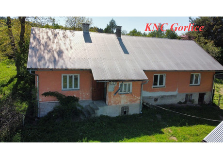 Dom na sprzedaż - Strzeszyn, Biecz, Gorlicki, 100 m², 245 000 PLN, NET-89/6152/ODS