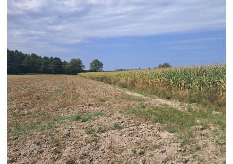 Działka na sprzedaż - Malinówka, Cyców, Łęczyński, 3000 m², 99 000 PLN, NET-1423/13924/OGS