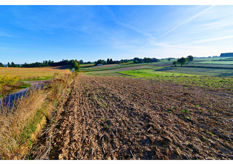 Działka na sprzedaż - Maszki, Wojciechów, Lubelski, 5300 m², 299 000 PLN, NET-1392/13924/OGS