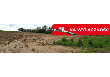 Działka na sprzedaż - Tomaszowice, Jastków, Lubelski, 6400 m², 419 000 PLN, NET-747/13924/OGS