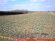 Rolny na sprzedaż - Motycz, Konopnica, Lubelski, 6800 m², 295 000 PLN, NET-620/13924/OGS