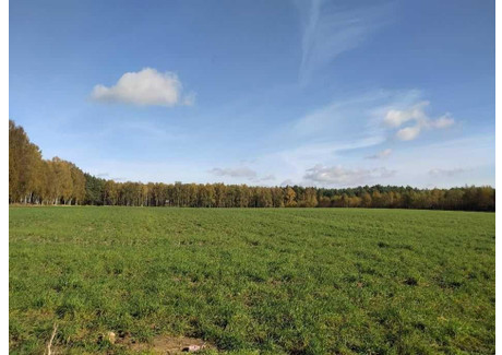 Działka na sprzedaż - Miłocin, Jastków, Lubelski, 2000 m², 249 000 PLN, NET-837/13924/OGS