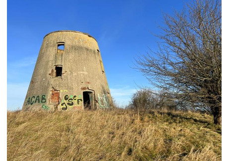 Działka na sprzedaż - Czernin, Dygowo, Kołobrzeski, 8100 m², 1 000 000 PLN, NET-23982