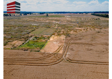 Działka na sprzedaż - Wenus Gwiazdowo, Kostrzyn (gm.), Poznański (pow.), 619 m², 139 000 PLN, NET-695