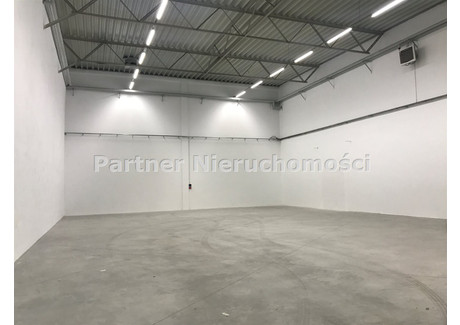 Magazyn do wynajęcia - Chrobrego, Toruń, Toruń M., 388 m², 7760 PLN, NET-PRT-HW-12412