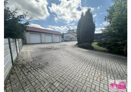 Magazyn do wynajęcia - Lipno, Lipnowski, 198,05 m², 15 000 PLN, NET-BMO-HW-3792