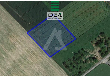 Działka na sprzedaż - Olszewka, Nakło Nad Notecią, Nakielski, 1000 m², 170 000 PLN, NET-IDE-GS-12261