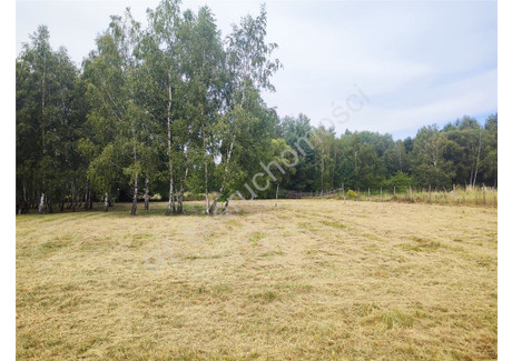 Działka na sprzedaż - Radonie, Grodzisk Mazowiecki, Grodziski, 3000 m², 845 000 PLN, NET-G-84859-4