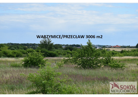 Działka na sprzedaż - Warzymice, Kołbaskowo (gm.), Policki (pow.), 3000 m², 265 000 PLN, NET-237