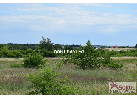 Działka na sprzedaż - Dołuje, Dobra (szczecińska) (gm.), Policki (pow.), 801 m², 265 000 PLN, NET-235-1