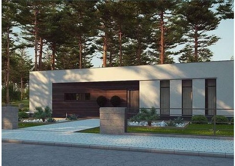 Dom na sprzedaż - Niewierz, Brodnica, Brodnicki, 280 m², 950 000 PLN, NET-10053