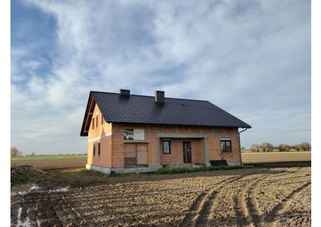 Dom na sprzedaż - Wróblewo, Kostrzyn, Poznański, 250 m², 550 000 PLN, NET-3401