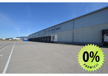 Magazyn do wynajęcia - Piotrków Trybunalski, 8135 m², 122 025 PLN, NET-5692