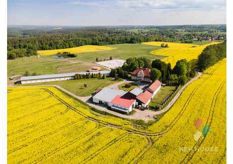 Obiekt na sprzedaż - Spręcowo, Dywity, Olsztyński, 900 m², 5 950 000 PLN, NET-447/6682/OOS