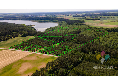 Działka na sprzedaż - Naguszewo, Rybno, Działdowski, 111 621 m², 749 000 PLN, NET-1643/6682/OGS