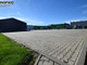 Obiekt do wynajęcia - Rybarzowice, Buczkowice, Bielski, 1000 m², 9000 PLN, NET-PCN-BW-10763