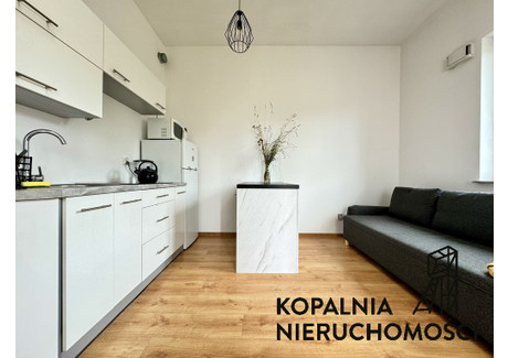 Mieszkanie na sprzedaż - Chorzowska Tysiąclecia, Katowice, 25,4 m², 350 000 PLN, NET-669/13542/OMS