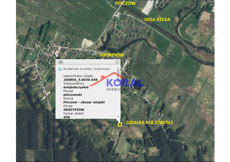 Działka na sprzedaż - Skrzypiów - Pińczów Skrzypiów, Pińczów, Pińczowski, 2500 m², 10 000 PLN, NET-68440079