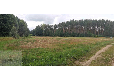 Działka na sprzedaż - Kudrycze, Zabłudów, Białostocki, 14 500 m², 829 000 PLN, NET-699/15636/OGS