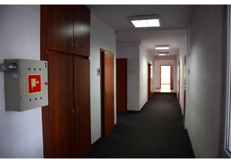 Biuro do wynajęcia - Zielona Góra, 148,3 m², 7118 PLN, NET-58900529