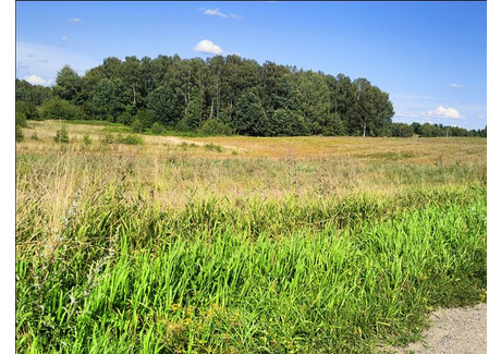 Działka na sprzedaż - Za Miastem, Wołowno, 19 700 m², 118 000 PLN, NET-16421/00702S/2024