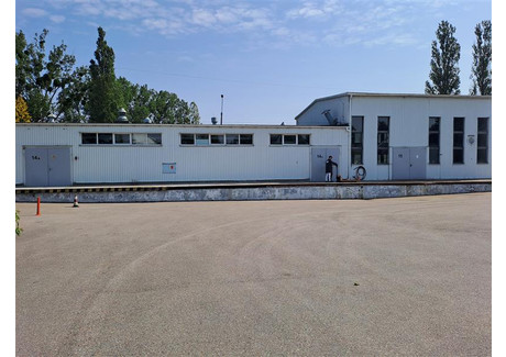 Magazyn do wynajęcia - Zastawna Pruszcz Gdański, Gdański, 446 m², 18 000 PLN, NET-GB05946