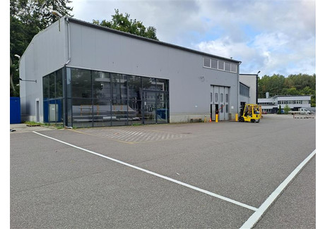 Lokal usługowy do wynajęcia - Starogardzka Straszyn, Pruszcz Gdański, Gdański, 270 m², 10 000 PLN, NET-GB06236