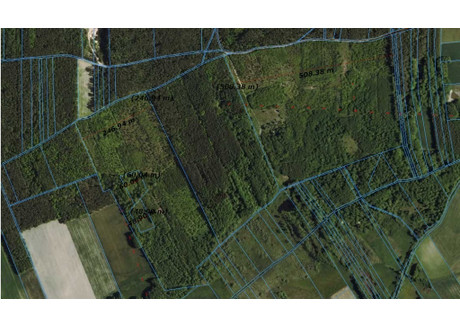 Działka na sprzedaż - Rutki-Begny, Ciechanów, Ciechanowski, 335 532 m², 1 450 000 PLN, NET-20/16470/OGS