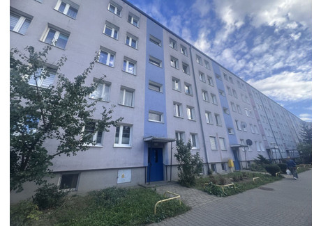 Mieszkanie na sprzedaż - Wichrowe Wzgórze Winogrady, Poznań-Stare Miasto, Poznań, 47 m², 469 000 PLN, NET-IR928132350