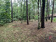 Leśne na sprzedaż - Józefów, Otwocki, 2860 m², 1 080 000 PLN, NET-680/1826/OGS