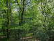 Leśne na sprzedaż - Strzeniówka, Nadarzyn, Pruszkowski, 5000 m², 990 000 PLN, NET-KID01454418