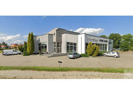 Lokal do wynajęcia - Podkarpacka Krosno, 550 m², 8800 PLN, NET-144/5738/OOW