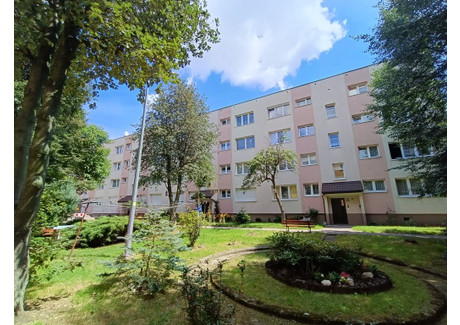 Mieszkanie na sprzedaż - Zgorzelec, Zgorzelecki, 41,5 m², 320 000 PLN, NET-KRU-MS-1081