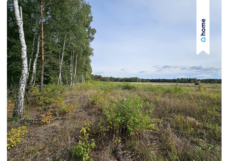 Działka na sprzedaż - Sobieńki, Osieck, Otwocki, 1270 m², 85 000 PLN, NET-192/14016/OGS