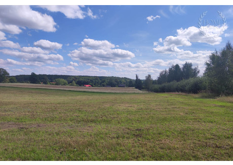 Działka na sprzedaż - Silnowo, Borne Sulinowo (gm.), Szczecinecki (pow.), 3000 m², 299 000 PLN, NET-574